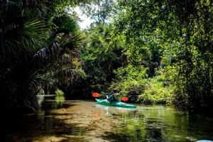 A paddle down Juniper Springs yielded beautiful sights on wild Florida on Saturday, July 25, 2020.