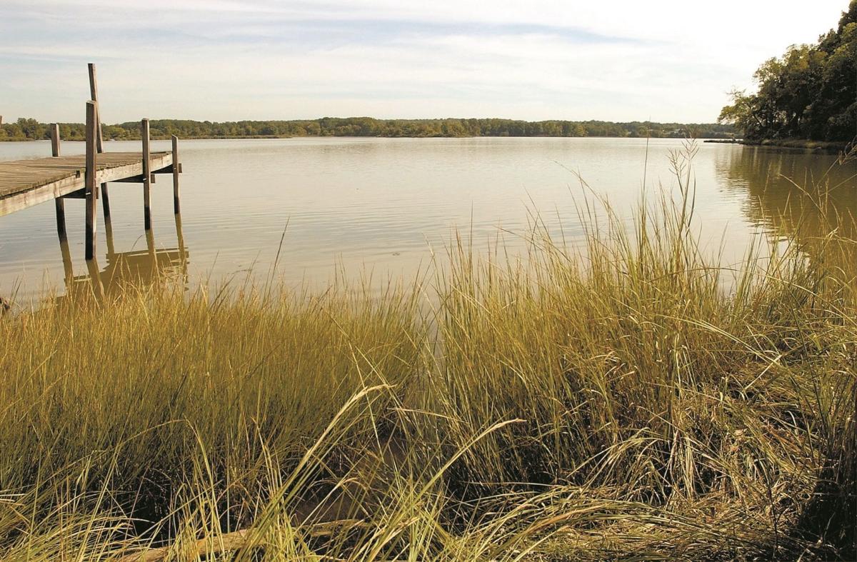 Archaeologist Washington's birth site more mysterious than