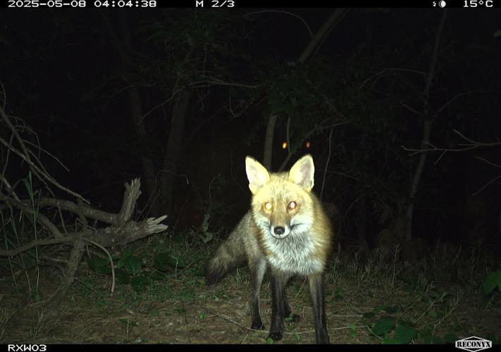 What’s In DWR’s Back Yard?