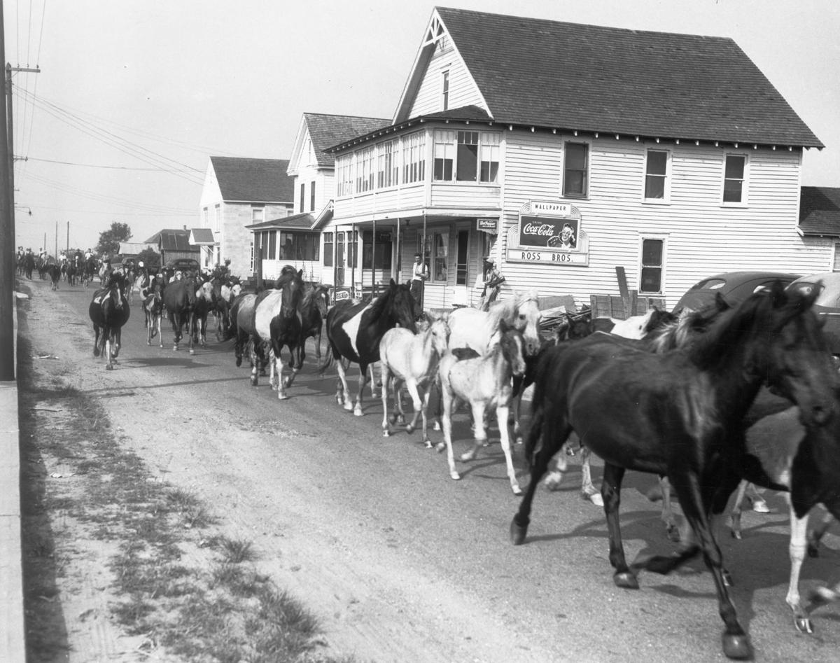 From the Archives A look back at the Chincoteague Island pony auction
