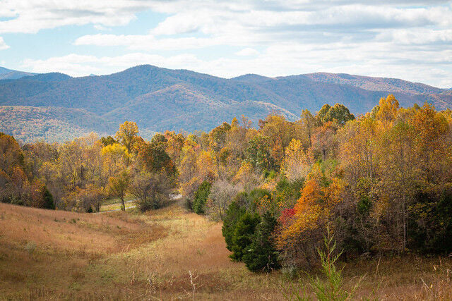 8 epic Virginia hikes with peak fall foliage views
