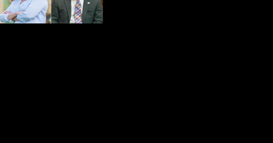 VanValkenburg ousts Dunnavant from Senate Willett holds House seat