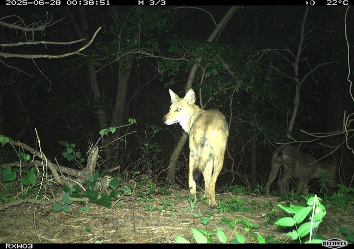 What’s In DWR’s Back Yard?