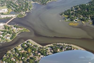 algal blooms