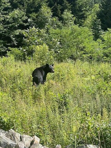 Fall wildlife watching at Virginia State Parks