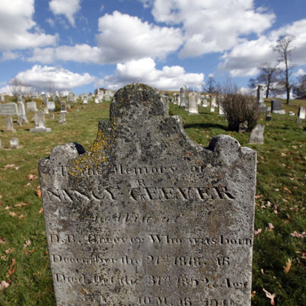 Beauty Of Burke S Garden Lies In Its Unspoiled Nature