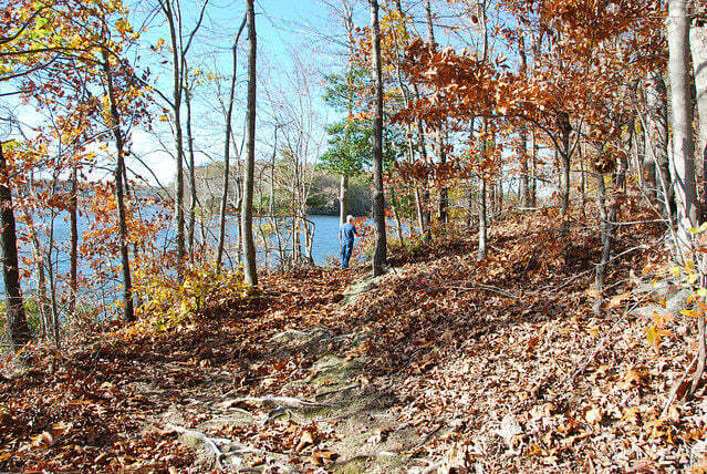 Favorite autumn hikes in Virginia