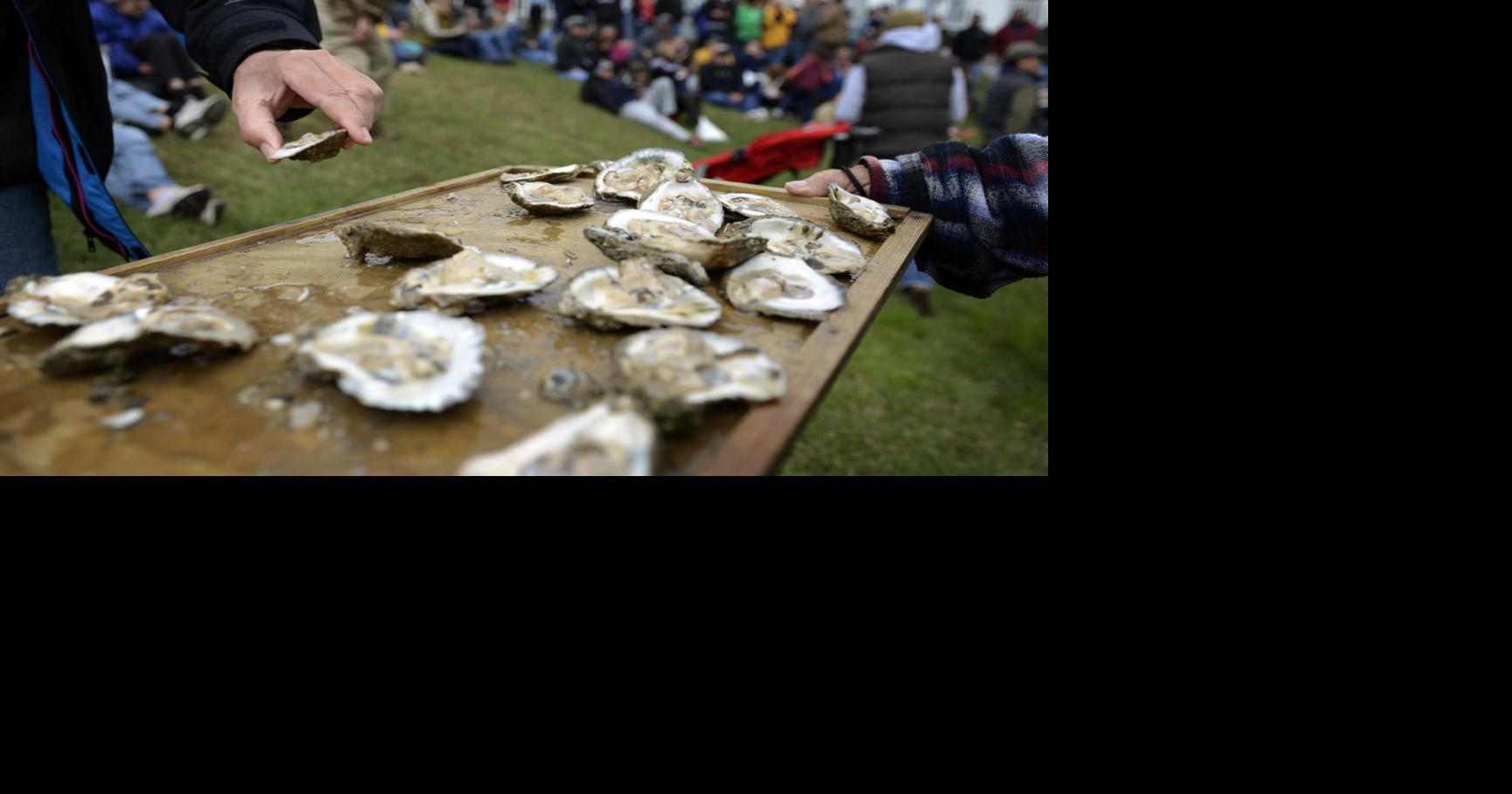 Urbanna Oyster Festival, Virginia Film Festival, Psychedelic Furs and