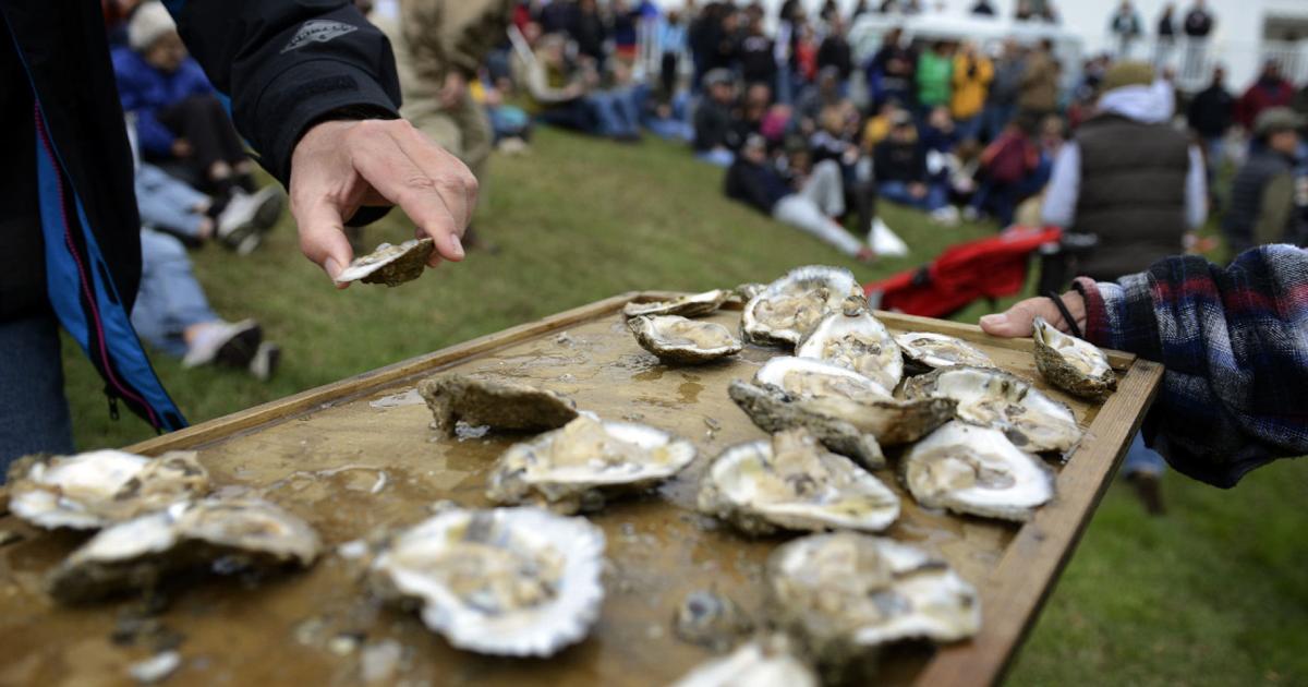 Urbanna Oyster Festival, Virginia Film Festival, Psychedelic Furs and