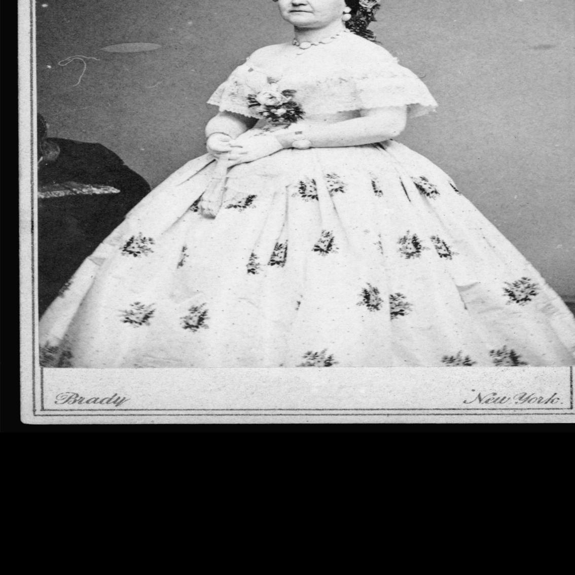 Book Review Nonfiction Capital Dames The Civil War And