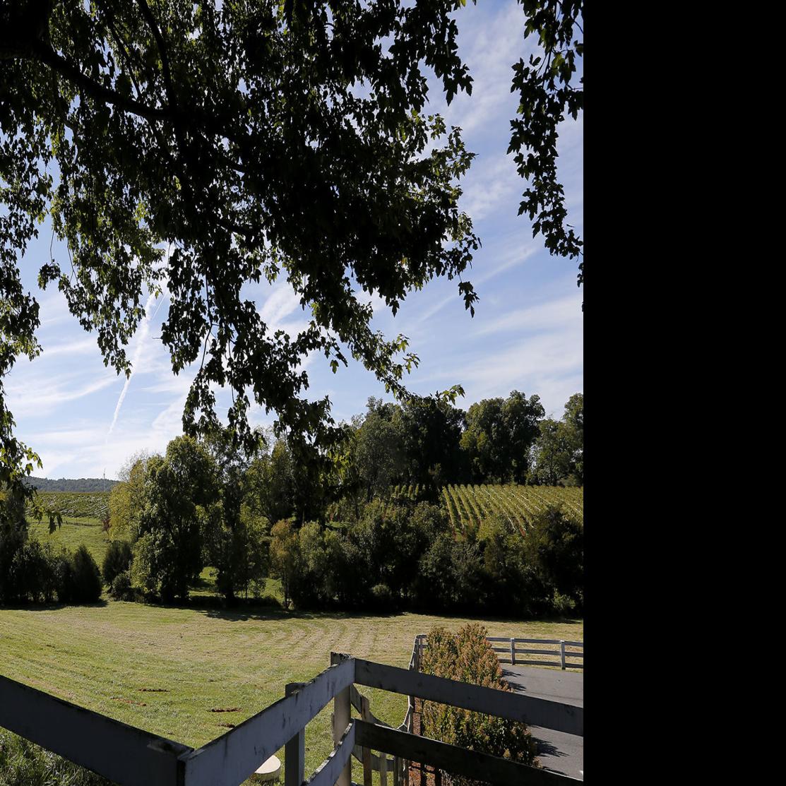 Celebrate Virginia Wine Month And Day Trip To Charlottesville With This Winery Tour Guide Beer Wine And Spirits Richmond Com