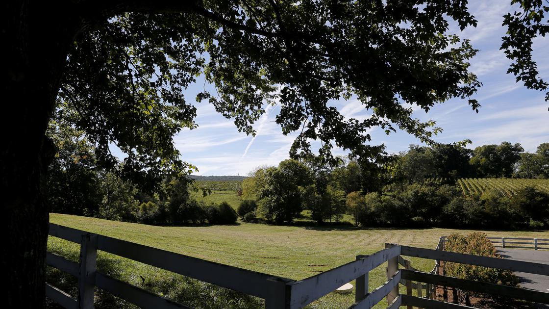 Celebrate Virginia Wine Month And Day Trip To Charlottesville With This Winery Tour Guide Beer Wine And Spirits Richmond Com