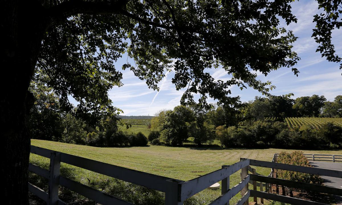 Celebrate Virginia Wine Month And Day Trip To Charlottesville With This Winery Tour Guide Beer Wine And Spirits Richmond Com