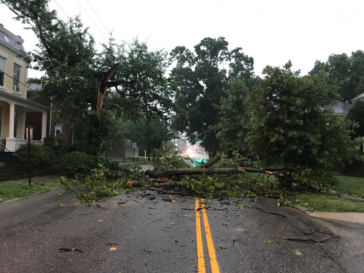 PHOTOS Storm damage in Richmond area