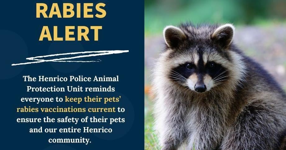 Henrico officials announce county's ninth rabies case of the year