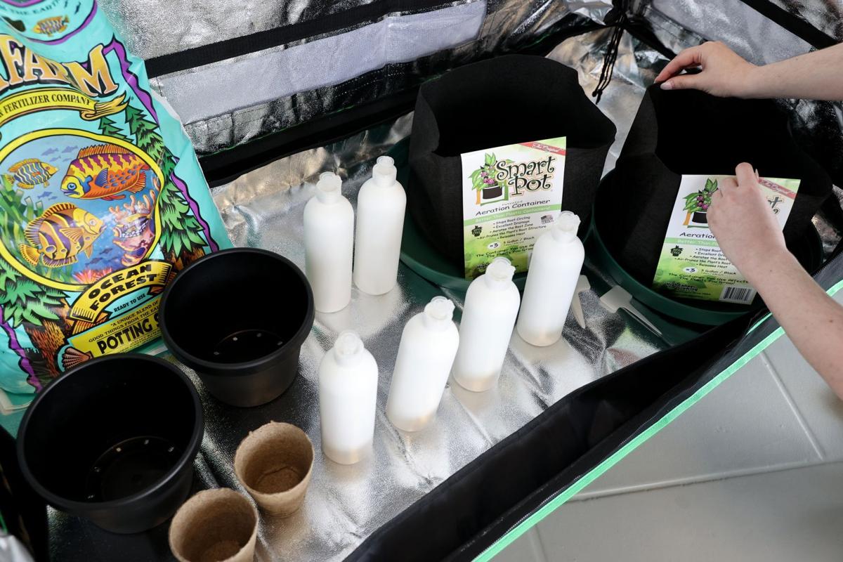 home-grow marijuana kits