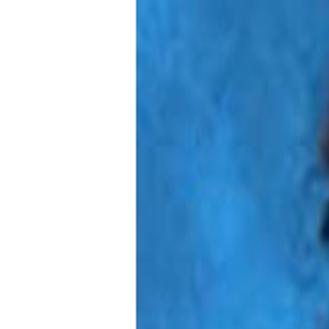 Missing 6 Year Old Cumberland County Girl Found Safe With