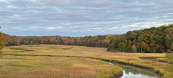Fall foliage at Virginia State Parks: Peak periods by region