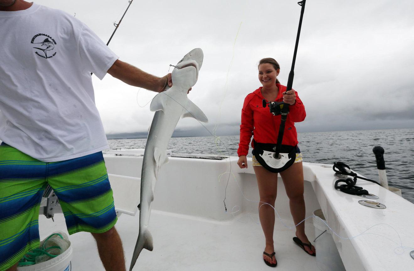 Shark fishing trips fascinate off Virginia Beach coast