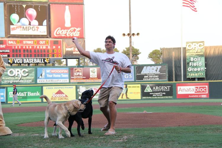 Bark at the Park: Dog-Friendly MLB Games to Sniff Out