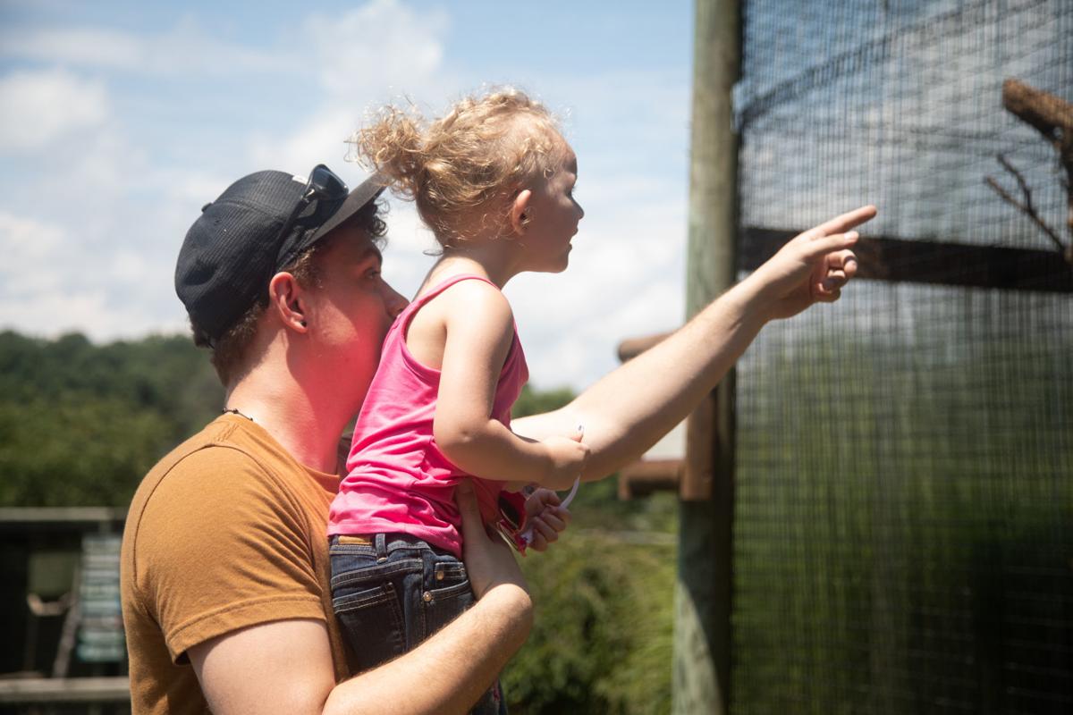Virginia Safari Park Puts Visitors In Touch With Nature Virginia Richmond Com