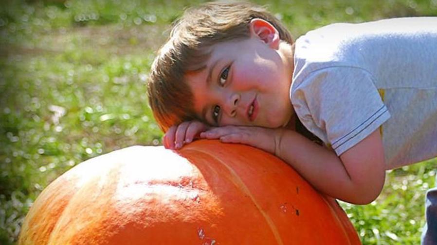 richmond pumpkin patch guide 2016 entertainment richmond com richmond pumpkin patch guide 2016