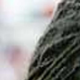 Hightower A Model Player At Ur Sports Richmond Com