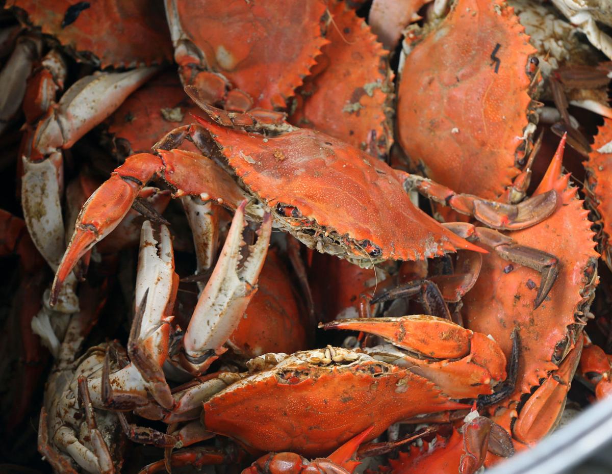 Where to find fresh, steamed crabs in Richmond Restaurant News