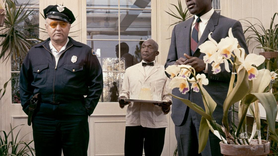 Orchids In The Heat Of The Night Richmond Com