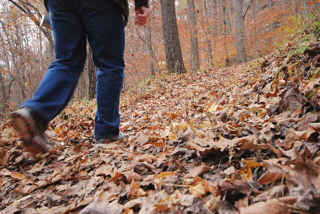 Top 5 things to do at Fairy Stone State Park this fall