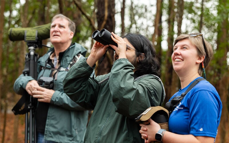 The Thrashers Top the 3rd Virginia Birding Classic