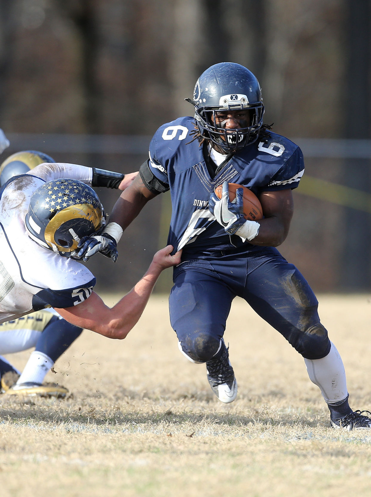 PHOTOS: Dinwiddie 28, Lafayette 14 4A State Semifinal Game | Sports ...