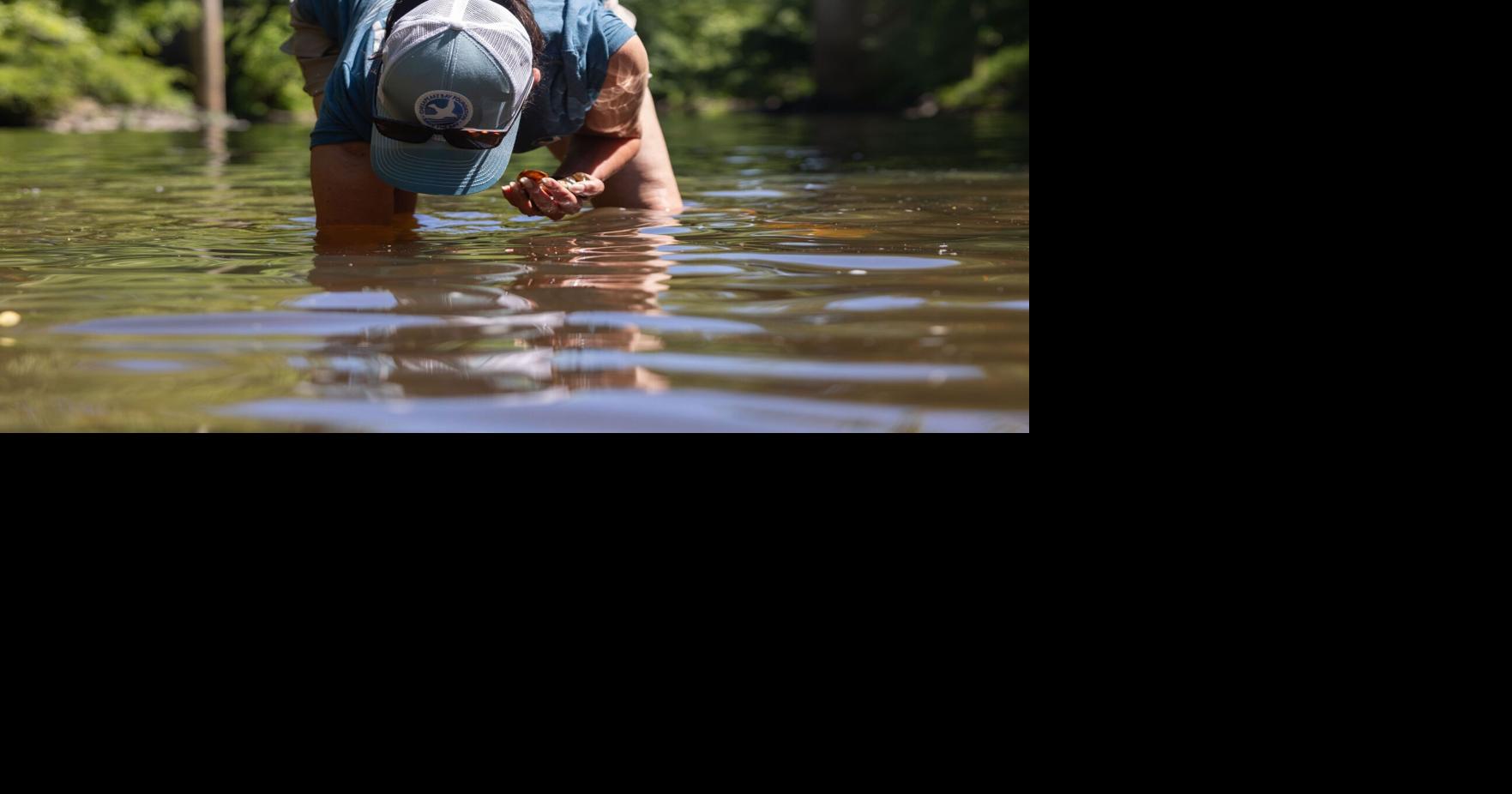 Planting a future for the Chesapeake Bay in the South Anna River