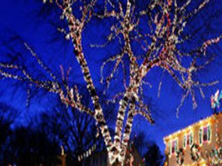 Top 10 Picks For Tacky Lights Richmond Com