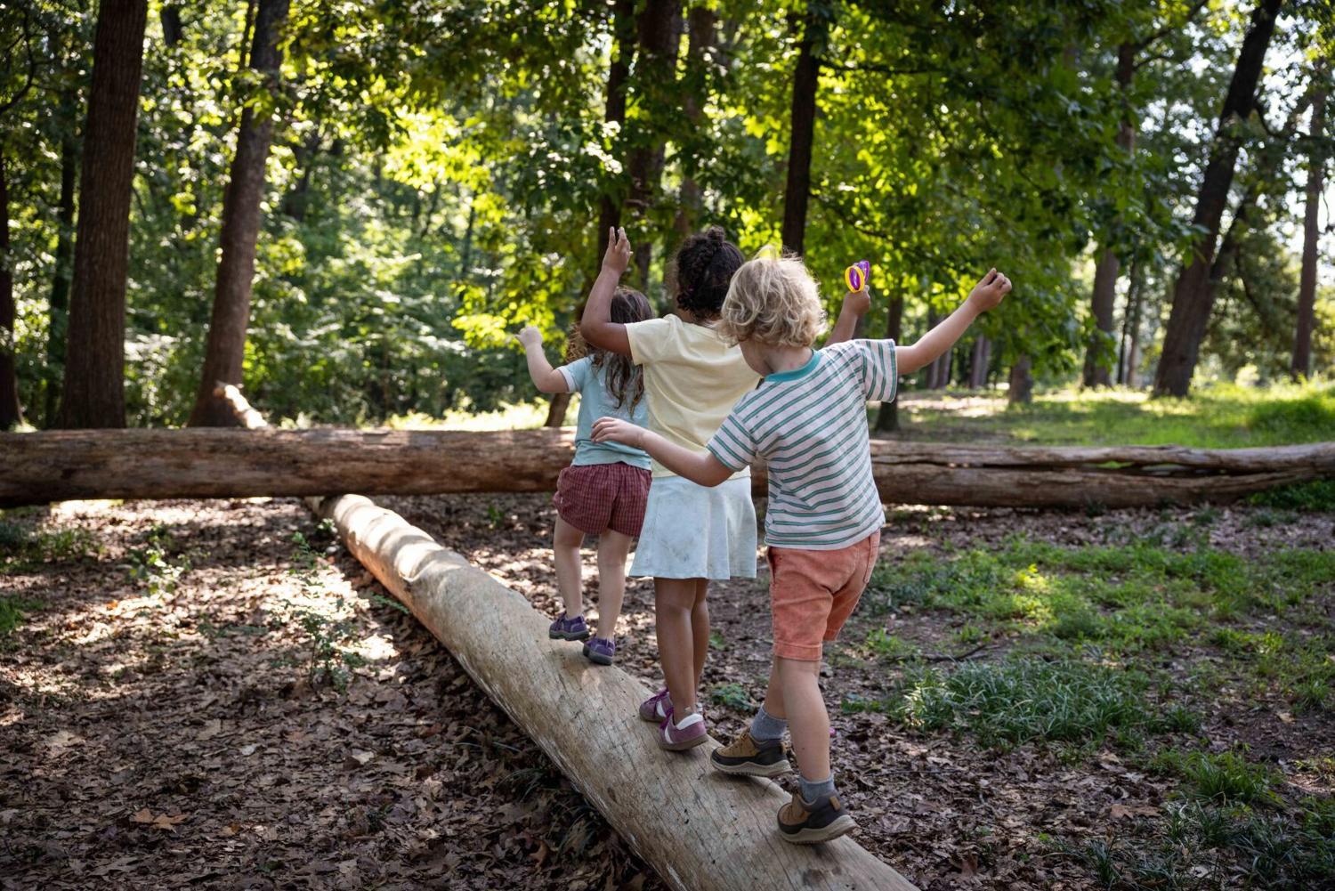 Richmond's newest preschool has no walls, screens or classrooms Aug 26, 2026