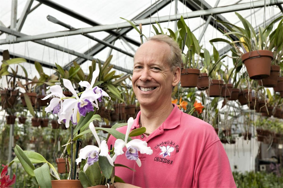 New Orchid Store Is Set To Open Western Henrico Business News Richmond Com