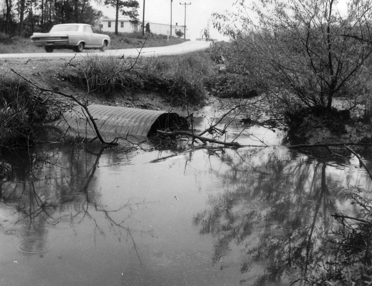 From the Archives Reedy Creek