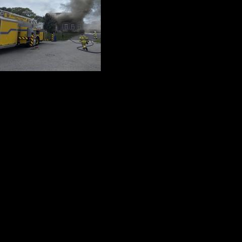 Three dogs killed in Chesterfield house fire