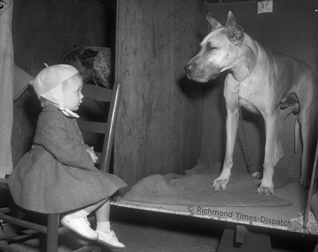 Virginia Kennel Club 1951