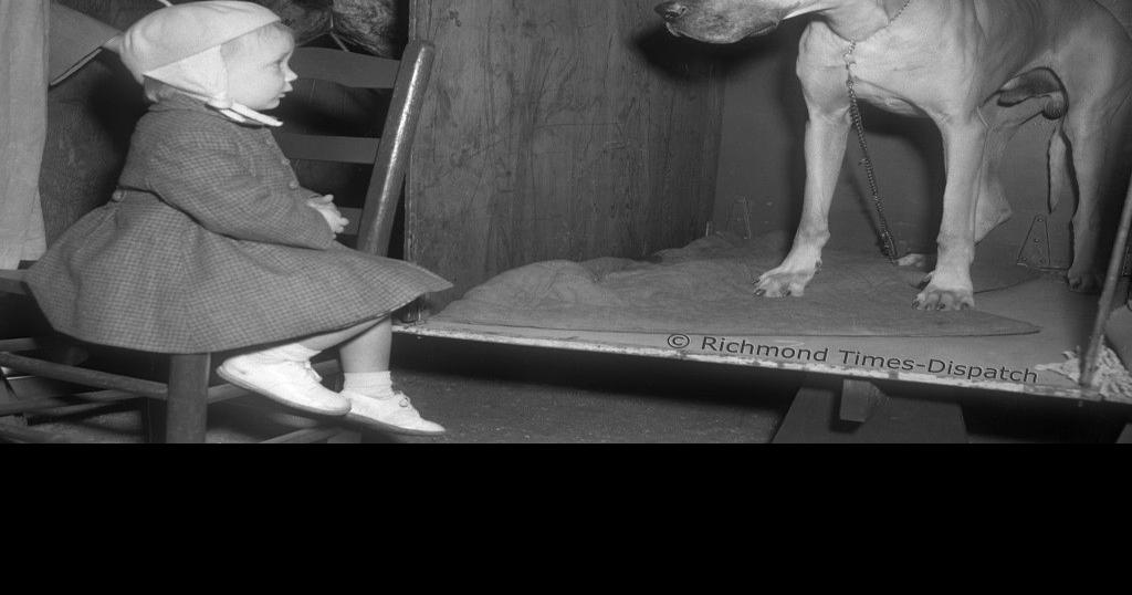 Virginia Kennel Club 1951