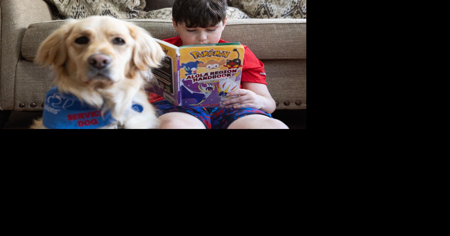 Hanover family, school system locked in dispute over service dog