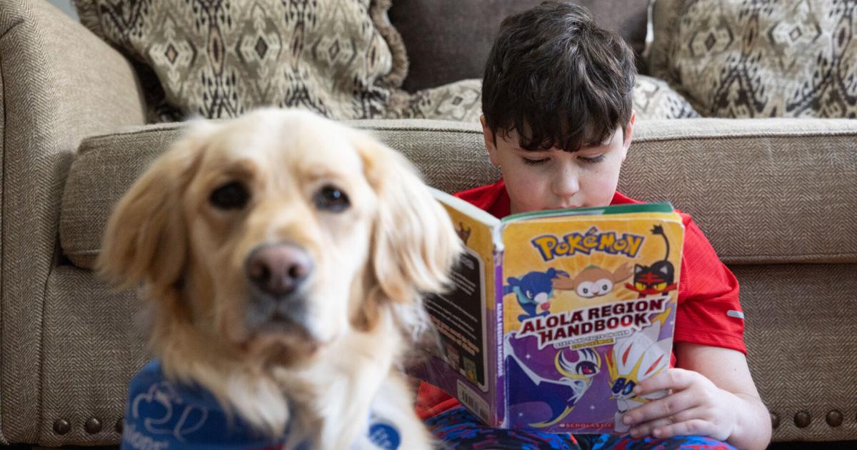 Hanover family, school system locked in dispute over service dog