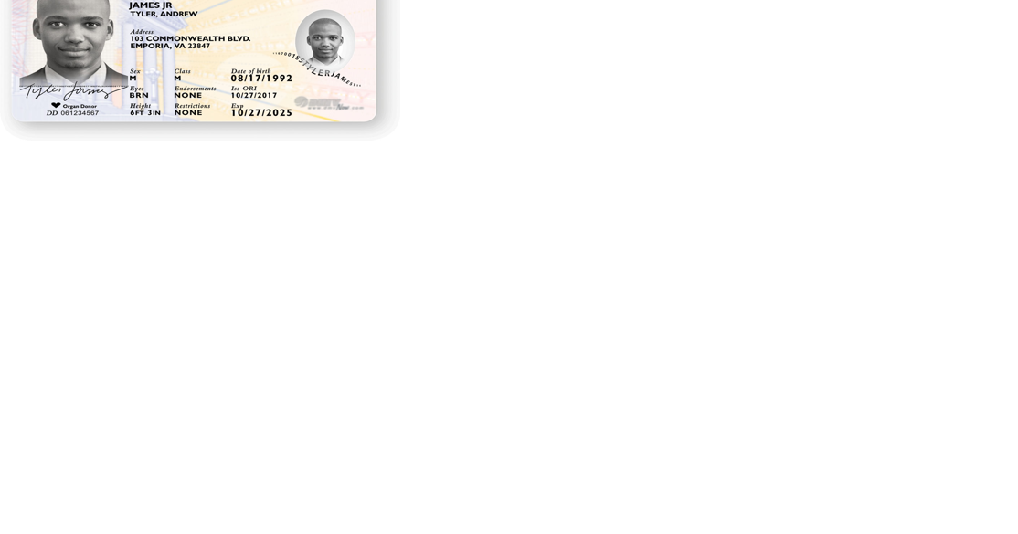 REAL ID required to fly domestic by May 2025 - Vimarsana News