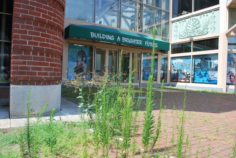 Why Richmond, Why?!? Sixth Street Marketplace