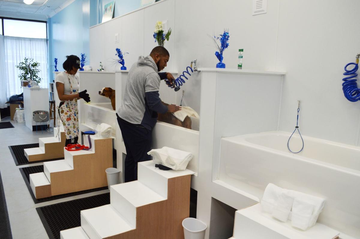 Pet spa, ceramics studio and fitness studio open in North Richmond