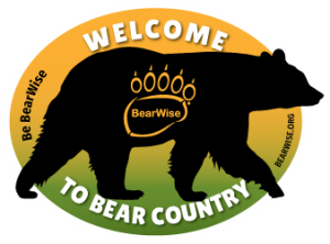 bear