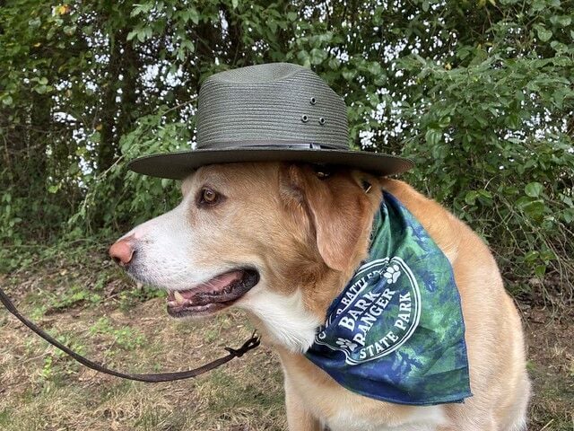 Pets at Virginia State Parks