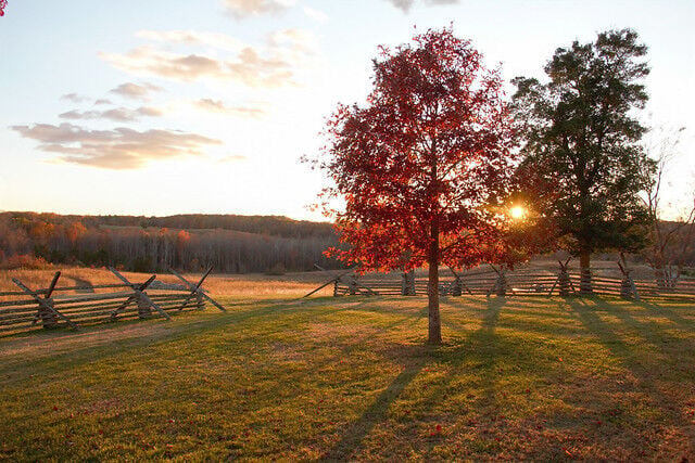 Fall at the Farmville 5