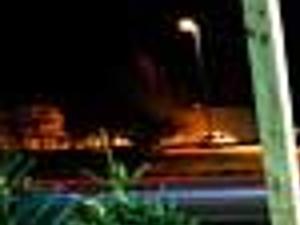 Is Your Tree Green Entertainment Richmond Com