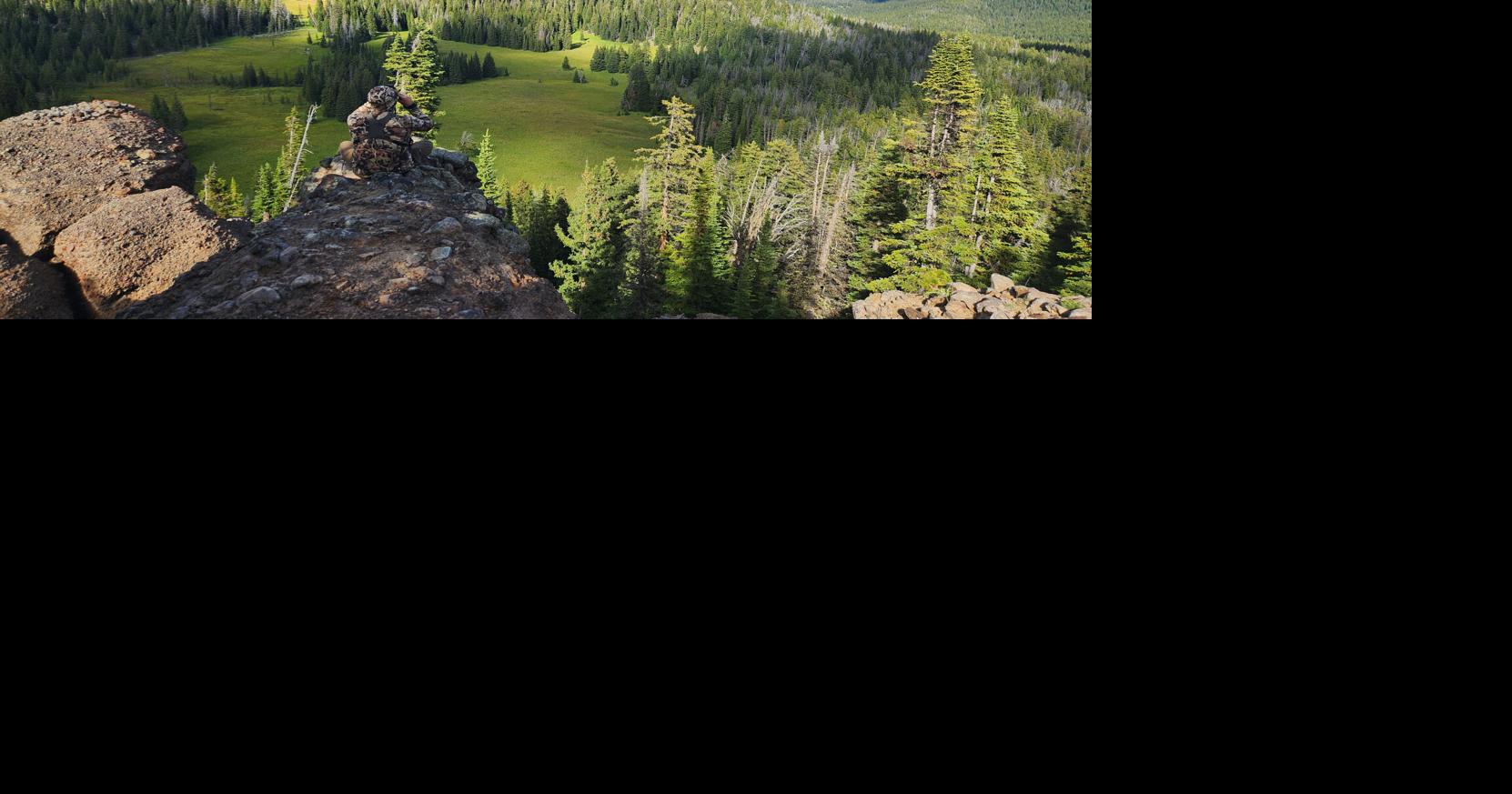 99% oppose ending national forest rule. It may happen anyway